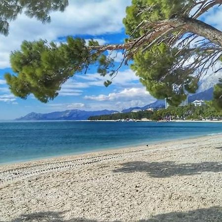 Apartment Ivana Makarska Dış mekan fotoğraf