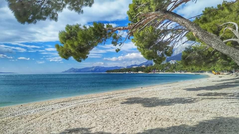 Apartment Ivana Makarska Dış mekan fotoğraf