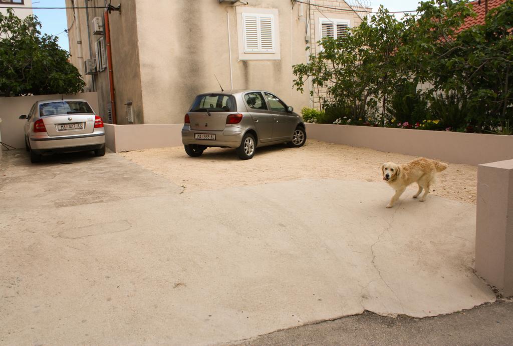 Apartment Ivana Makarska Dış mekan fotoğraf